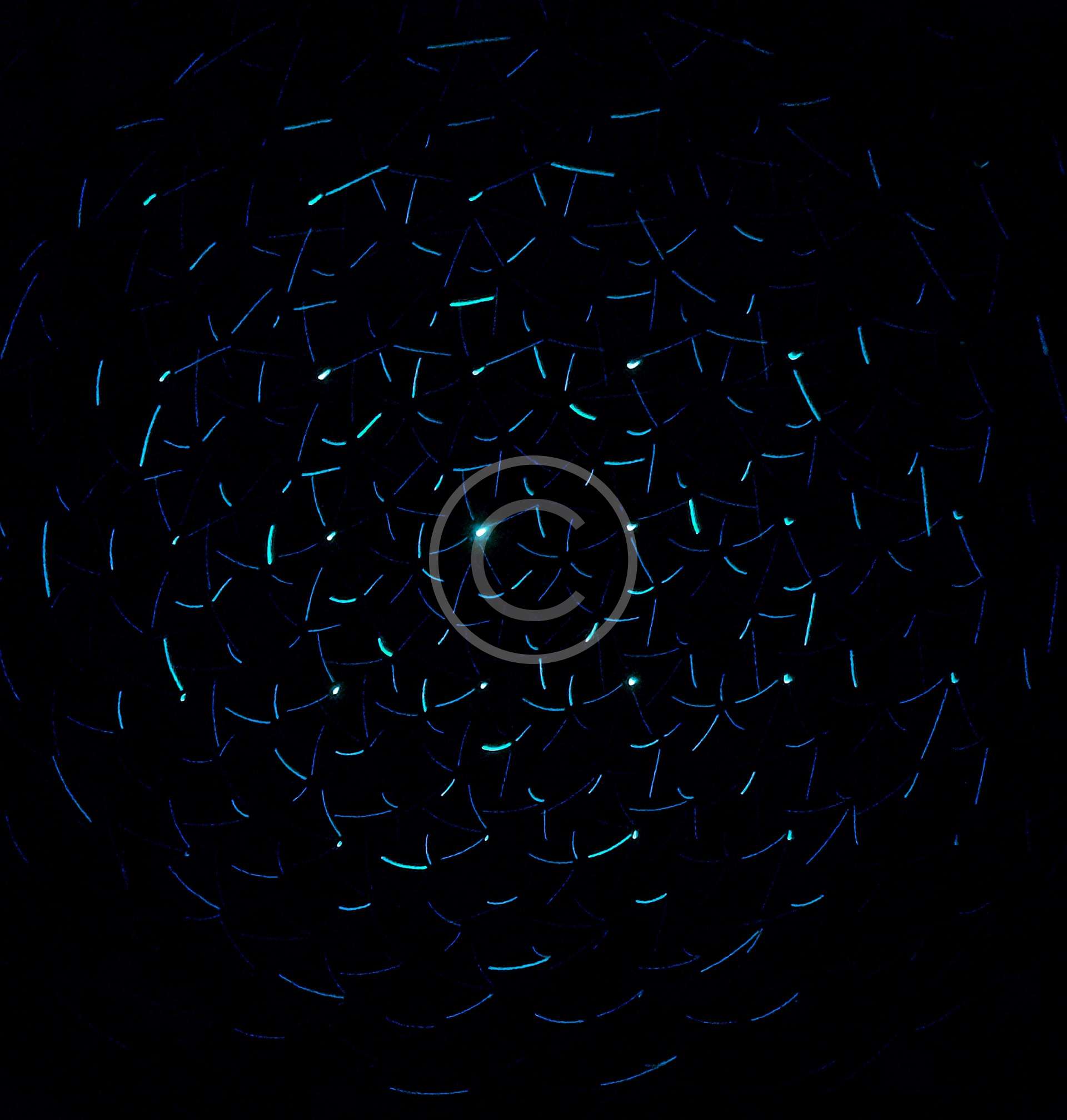 Digital